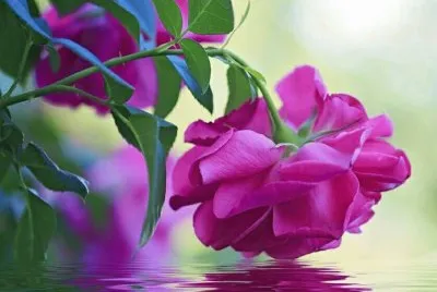 imagens jigsaw puzzle