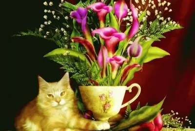 imagens jigsaw puzzle