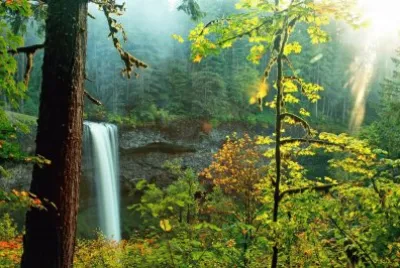 natureza jigsaw puzzle