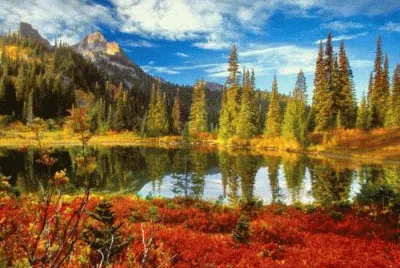 natureza jigsaw puzzle