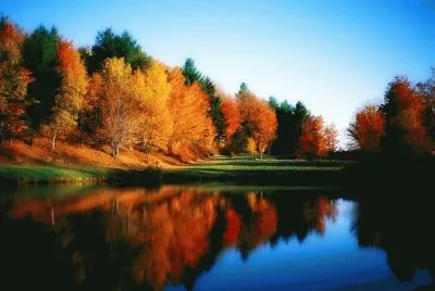 natureza jigsaw puzzle