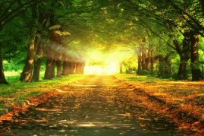 natureza jigsaw puzzle