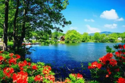 paisajes jigsaw puzzle