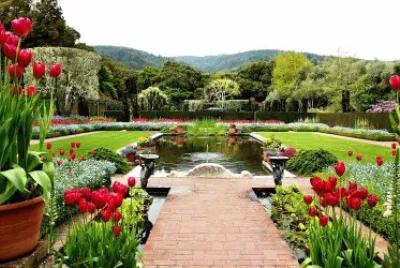 Garden with water jigsaw puzzle