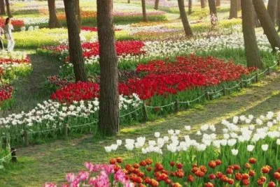 paisajes jigsaw puzzle
