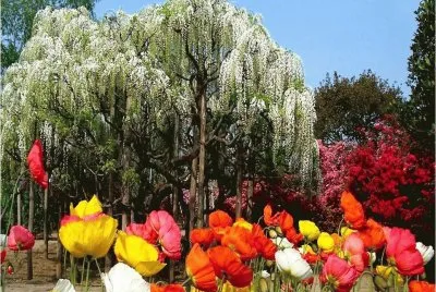 summer-122 jigsaw puzzle