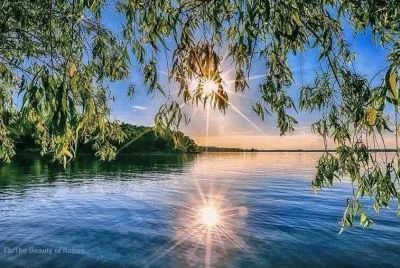 imagens jigsaw puzzle