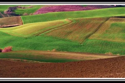 colores