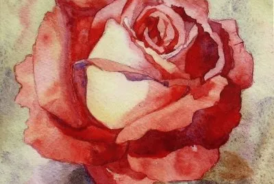 Fantastic Rose