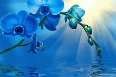 imagens jigsaw puzzle