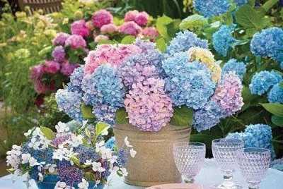 imagens jigsaw puzzle