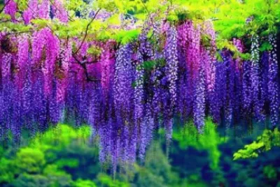 imagens jigsaw puzzle