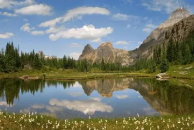 natureza jigsaw puzzle