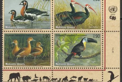 פאזל של Protection de la nature