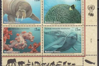 פאזל של Protection de la nature