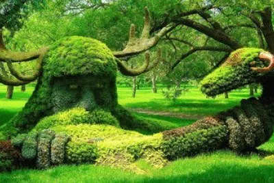 Jardim BotÃ¡nico Montreal