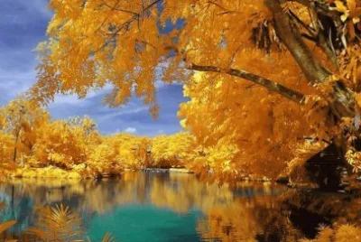 imagens jigsaw puzzle