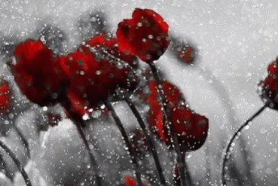 imagens jigsaw puzzle