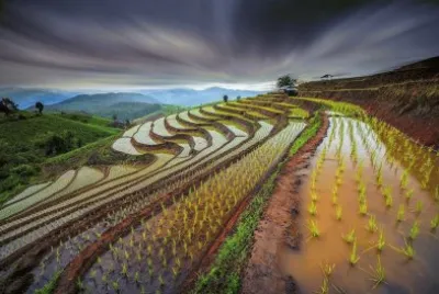 imagens jigsaw puzzle