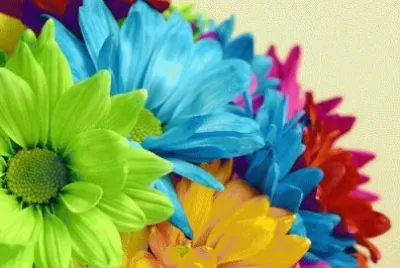 פאזל של Colors