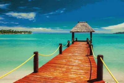 Nasinu jigsaw puzzle