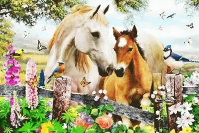 פאזל של cavalos