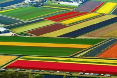 imagens jigsaw puzzle