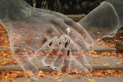 פאזל של imagens