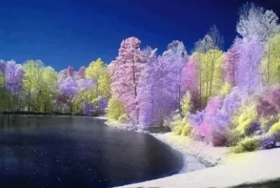 imagens jigsaw puzzle