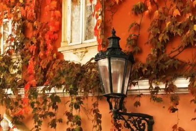 otoÃ±o