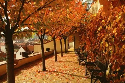 otoÃ±o