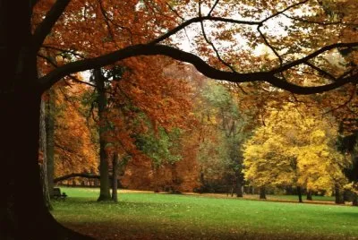 otoÃ±o jigsaw puzzle