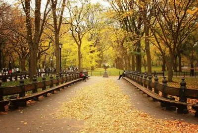 otoÃ±o jigsaw puzzle