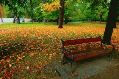 otoÃ±o jigsaw puzzle