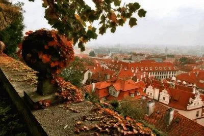 otoÃ±o jigsaw puzzle