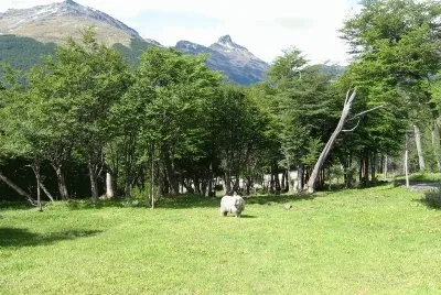 En Tierra del Fuego. Argentina