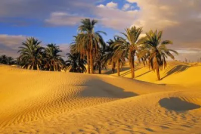 imagens jigsaw puzzle