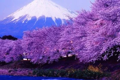 imagens jigsaw puzzle