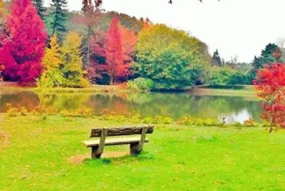 imagens jigsaw puzzle