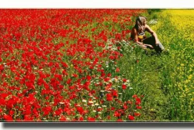 primavera