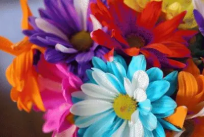 פאזל של Colors