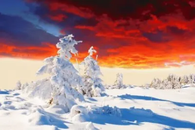 imagens jigsaw puzzle