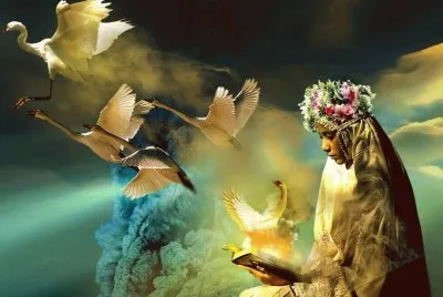 imagens