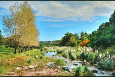 En la Provincia de San Luis. Argentina jigsaw puzzle