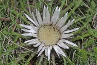 93