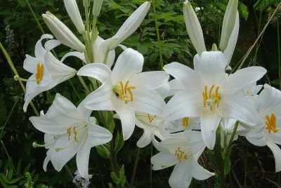 121