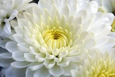 167