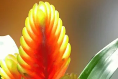 218