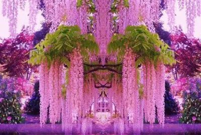 Wisteria Garden-Japan jigsaw puzzle