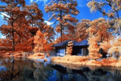 imagens jigsaw puzzle